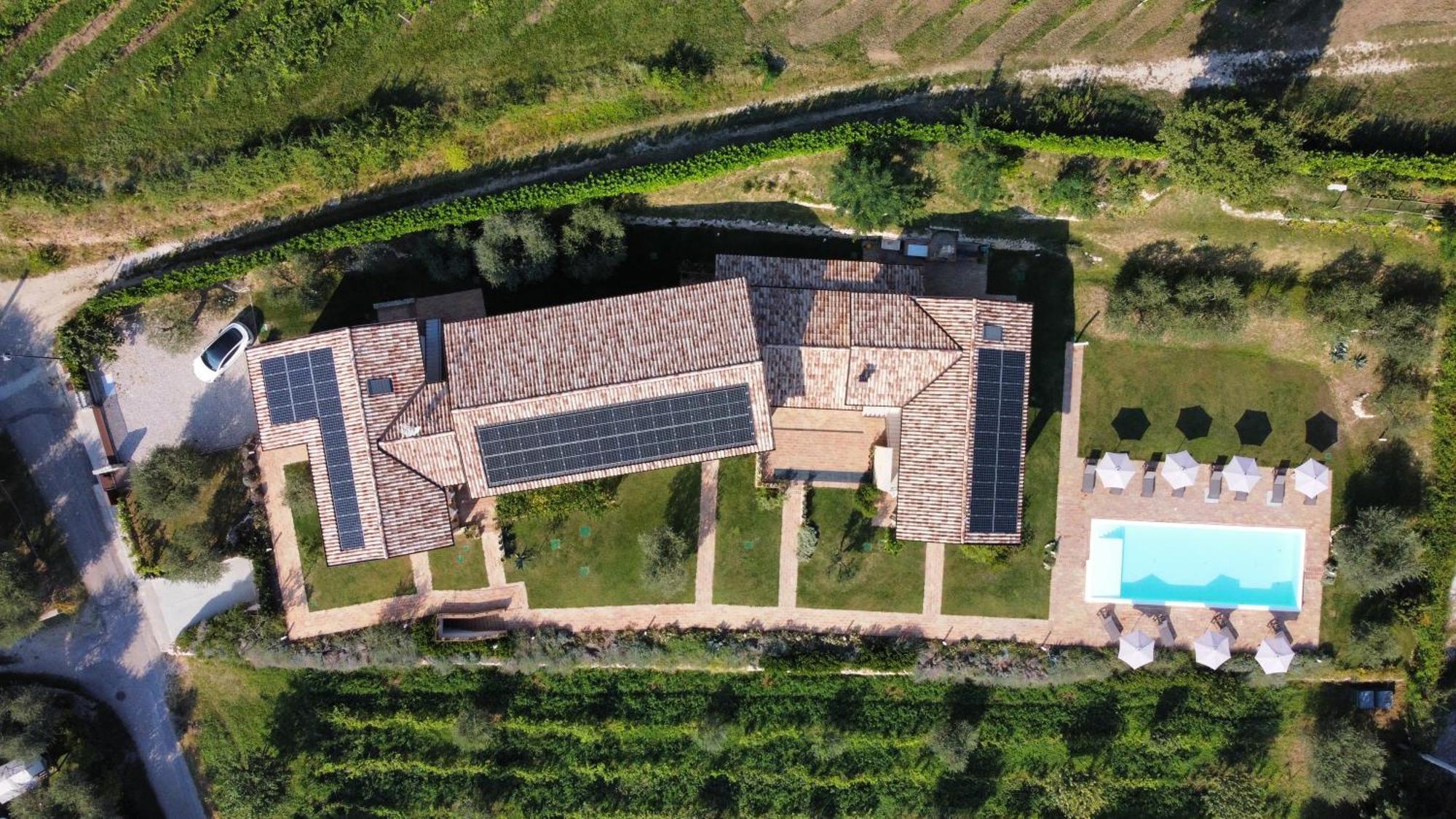 Casa Olivi Apartments Bardolino Zewnętrze zdjęcie